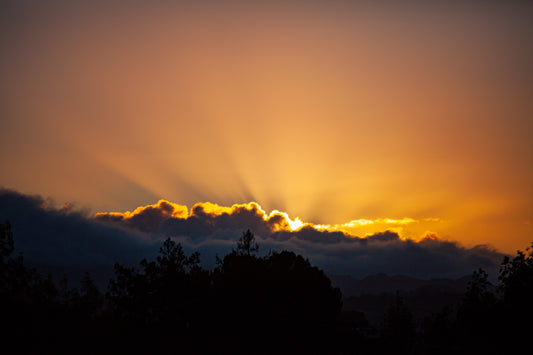 11/02/2022 @robskog #10