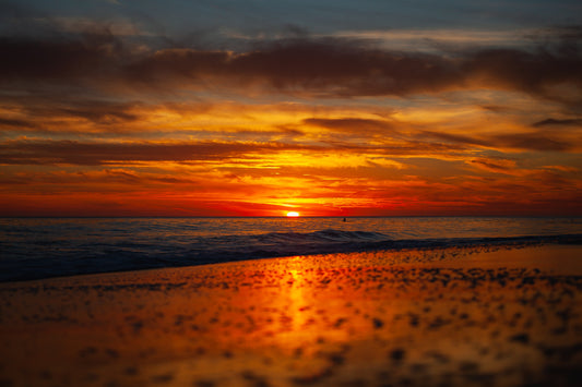 11/19/2022 @robskog #14