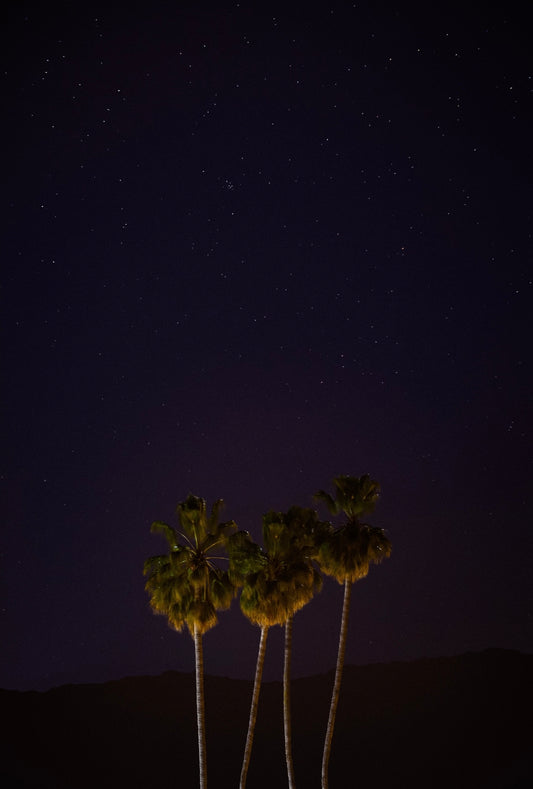 03/21/2023 @robskog #40